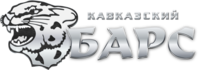 Компания БАРС