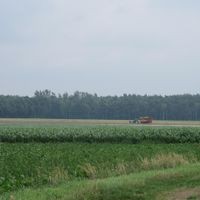 Im Wasserschutzgebiet Wehnsen werden Mais, Sommergerste, Kartoffeln, Rüben, Roggen und Wintergerste angebaut.