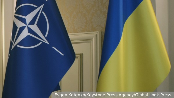 Чехия заявила, что на саммите в июле Украине не предложат членство в НАТО