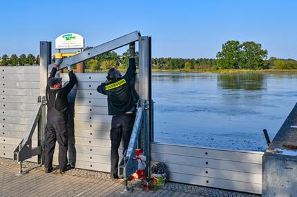 Hochwasser: Zwei Kameraden der Freiwilligen Feuerwehr errichten eine mobile Hochwasserschutzwand am deutsch-polnischen Grenzflusses Oder. Noch ist unsicher, wie ernst die Hochwasserlage in Brandenburg wirklich wird. Angesichts weiter steigender Wasserstände kommen aber Krisenstäbe in Kommunen zusammen. Angesichts weiter steigender Flusspegel kommen in Kommunen entlang der Oder die Hochwasser-Krisenstäbe zusammen. (zu dpa: «Ernste Hochwasserlage kommende Woche erwartet») +++ dpa-Bildfunk +++