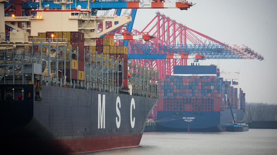 Hamburger Hafen: Zwei Containerschiffe liegen im Hamburger Hafen