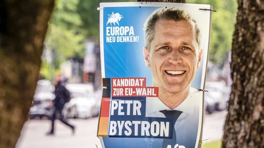 Petr Bystron AfD
