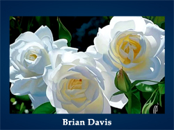Brian Davis (200x150, 62Kb)/5107871_Brian_Davis_kopiya (250x188, 78Kb)