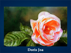 Doris Joa (200x150, 53Kb)/5107871_Doris_Joa (250x188, 87Kb)