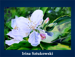Irina Sztukowski (200x150, 49Kb)/5107871_Irina_Sztukowski (250x188, 95Kb)