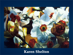 Karen Shelton (200x150, 46Kb)/5107871_Karen_Shelton (250x188, 91Kb)