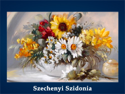 Szechenyi Szidonia (200x150, 66Kb)/5107871_Szechenyi_Szidonia (250x188, 88Kb)