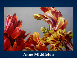Anne Middleton (200x150, 39Kb)/5107871_Anne_Middleton (250x188, 86Kb)