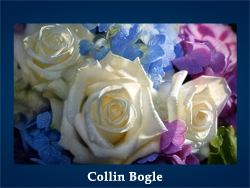 Collin Bogle (200x150, 45Kb)/5107871_Collin_Bogle (250x188, 79Kb)