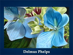 Delmus Phelps (200x150, 61Kb)/5107871_Delmus_Phelps (250x188, 86Kb)