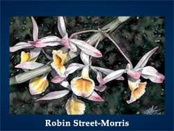 Robin Street Morris (200x150, 56Kb)/5107871_Robin_StreetMorris (250x188, 90Kb)