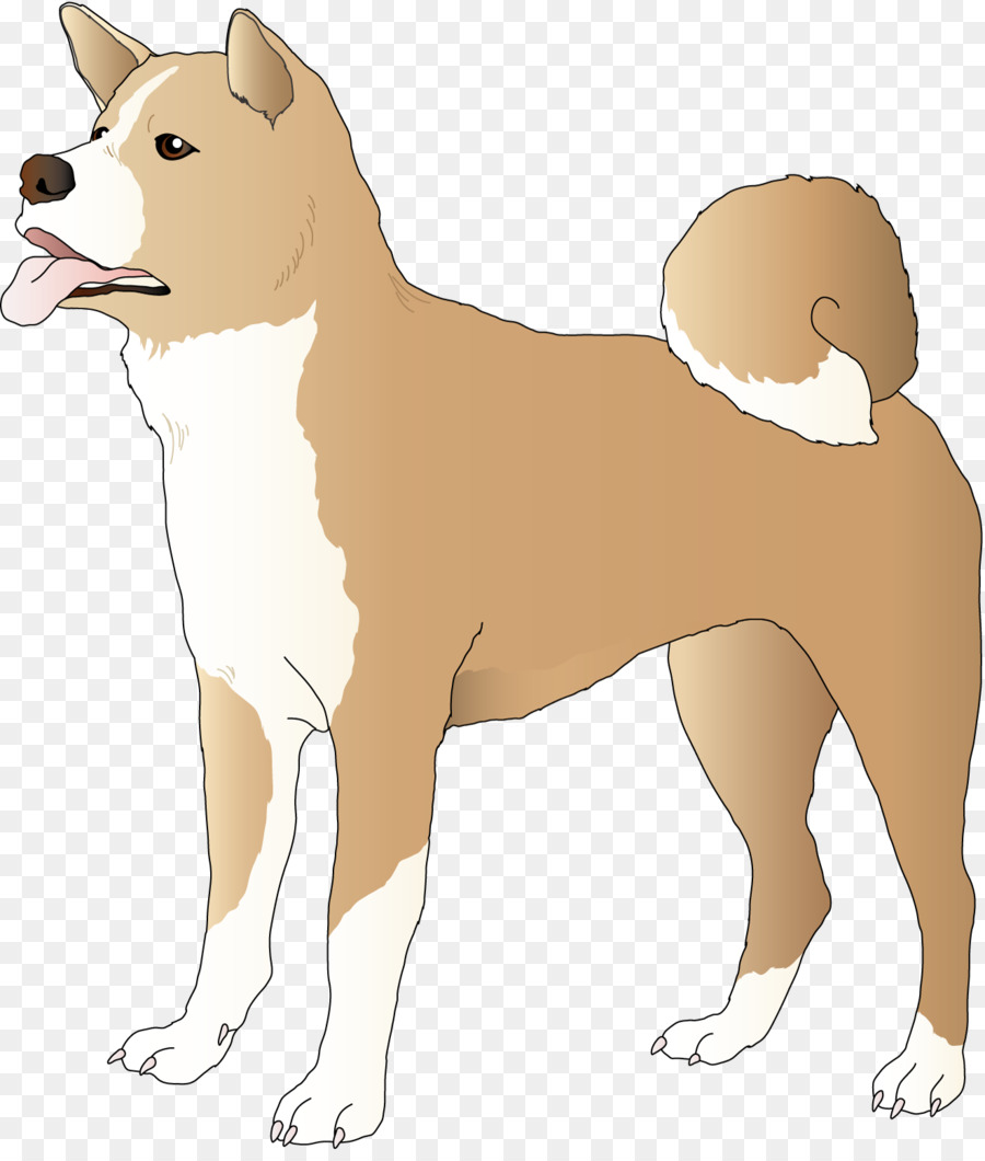 Chien，Shiba Inu PNG