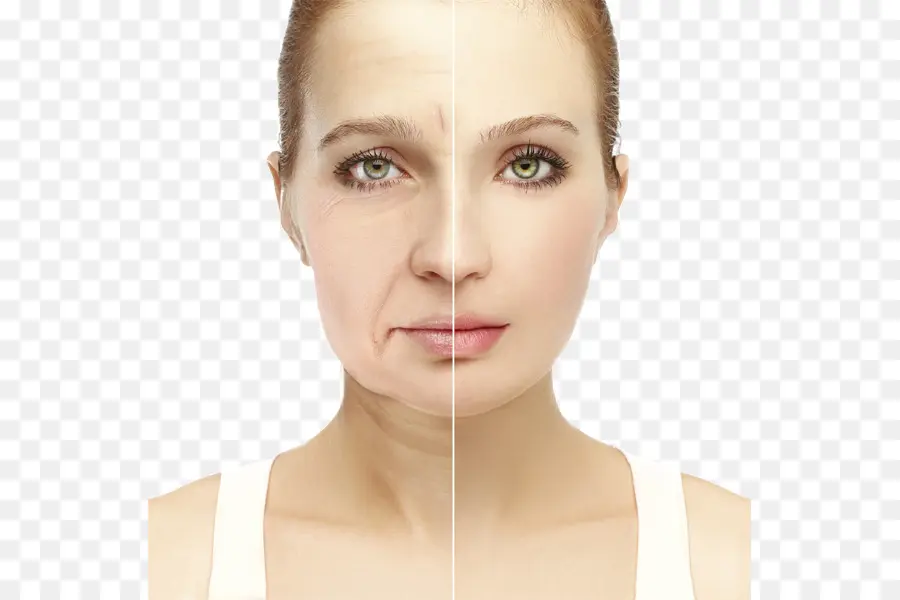 Comparaison De Visage，Vieillissement PNG