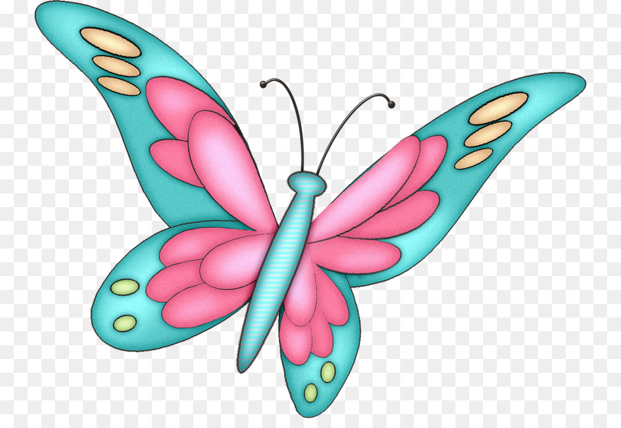 Papillon Coloré，Ailes PNG