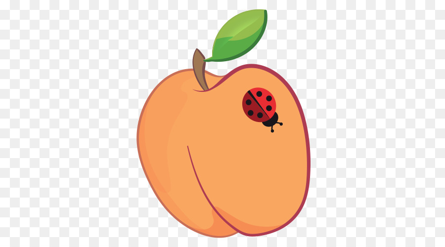 Pomme Orange，Feuille PNG