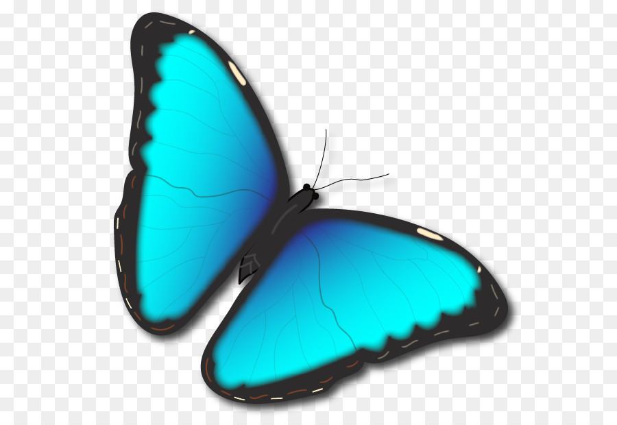 Papillon Vert，Insecte PNG