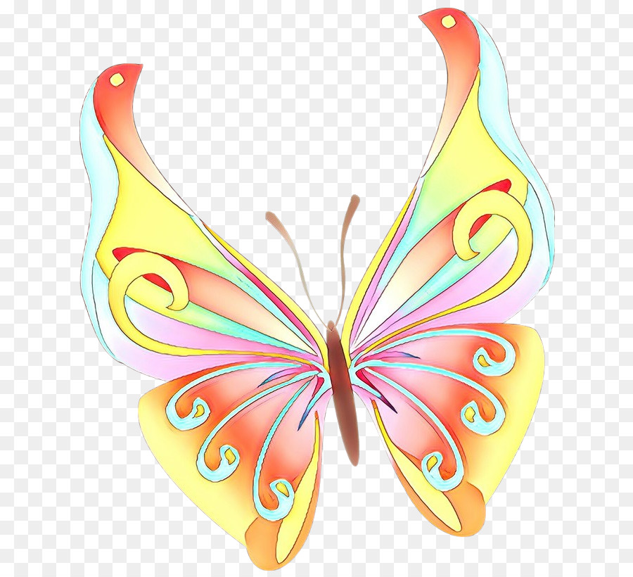 Papillon Coloré，Papillon PNG