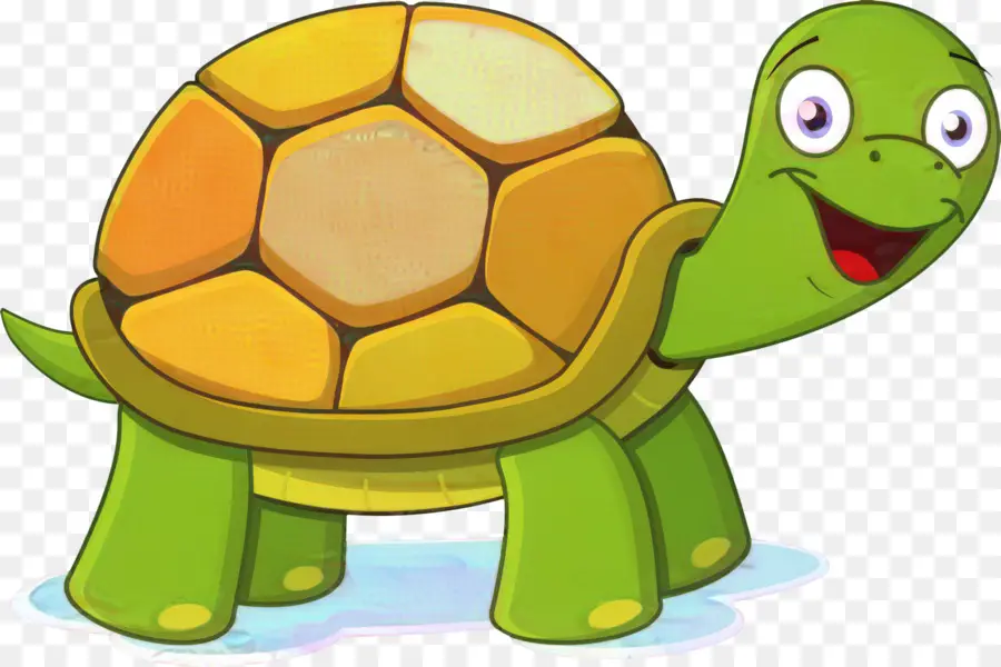 Tortue De Dessin Animé，Tortue PNG