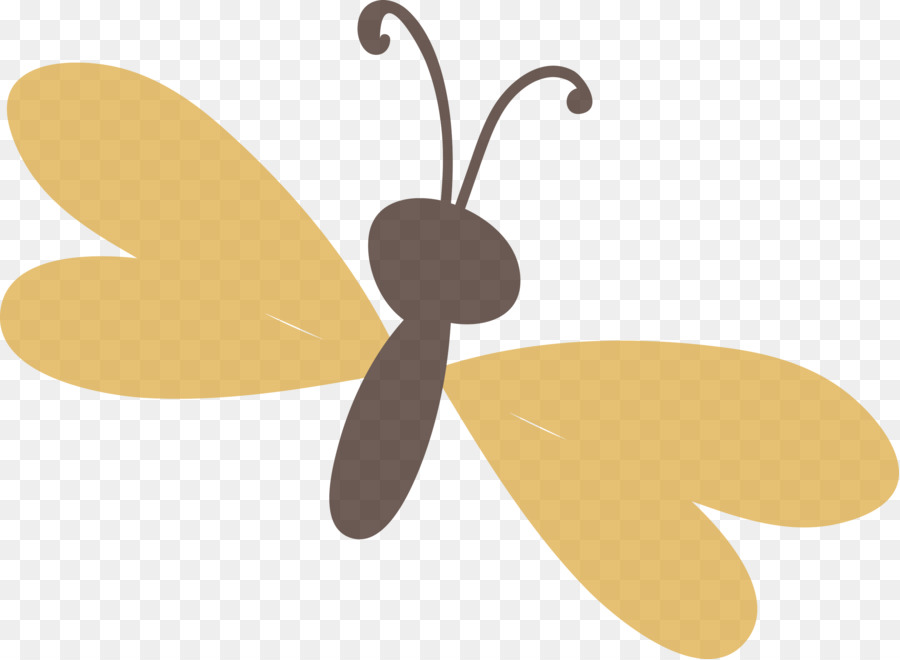 Papillon De Nuit，Ailes PNG