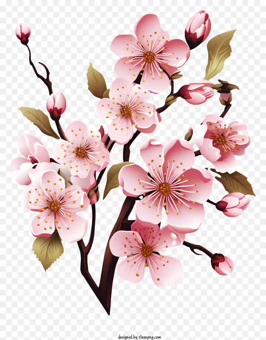 Cadre De Fleurs De Sakura，Fleur De Cerisier PNG