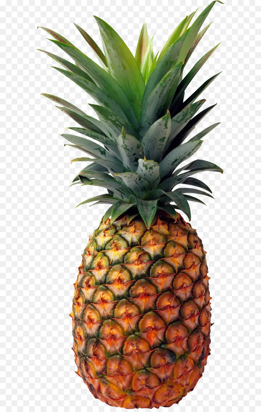 сок，Pineapple PNG