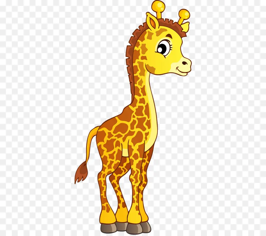 Северный жираф，о жирафах PNG