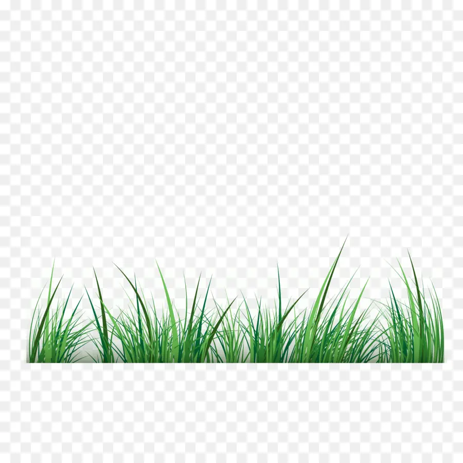 зеленый，ГИС Grass PNG