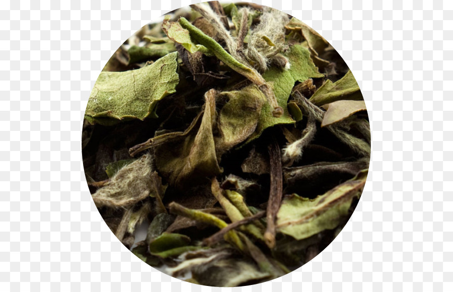 White Tea，Tea PNG