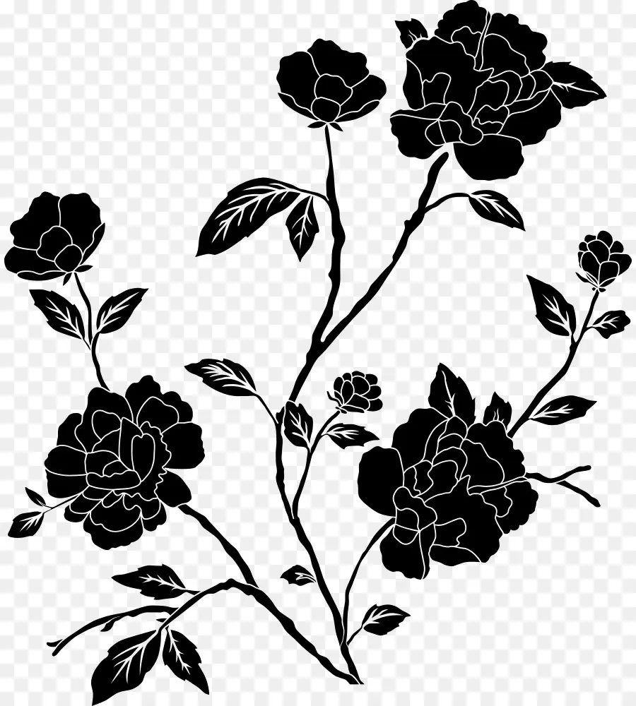 цветок，черный и белый PNG