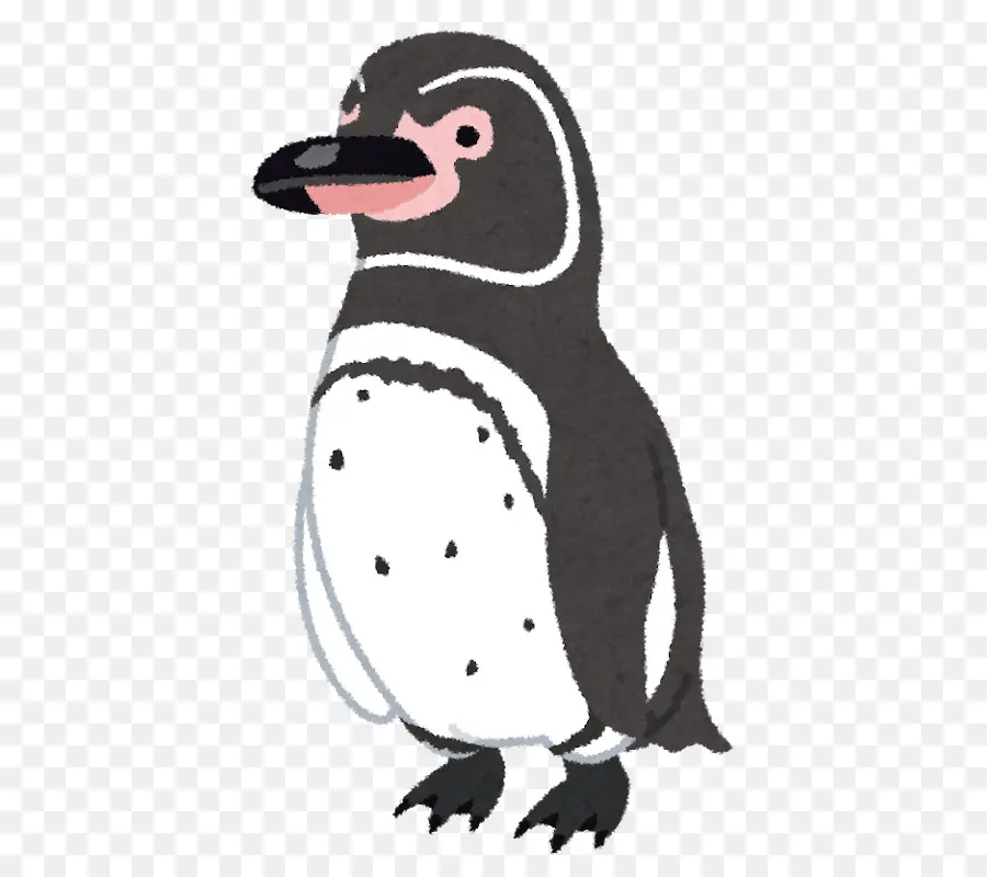 пингвин，New Year Card PNG