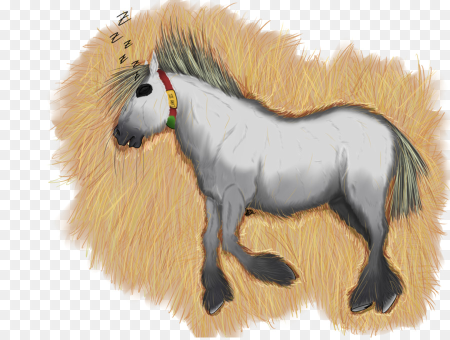 Mane，Mustang PNG