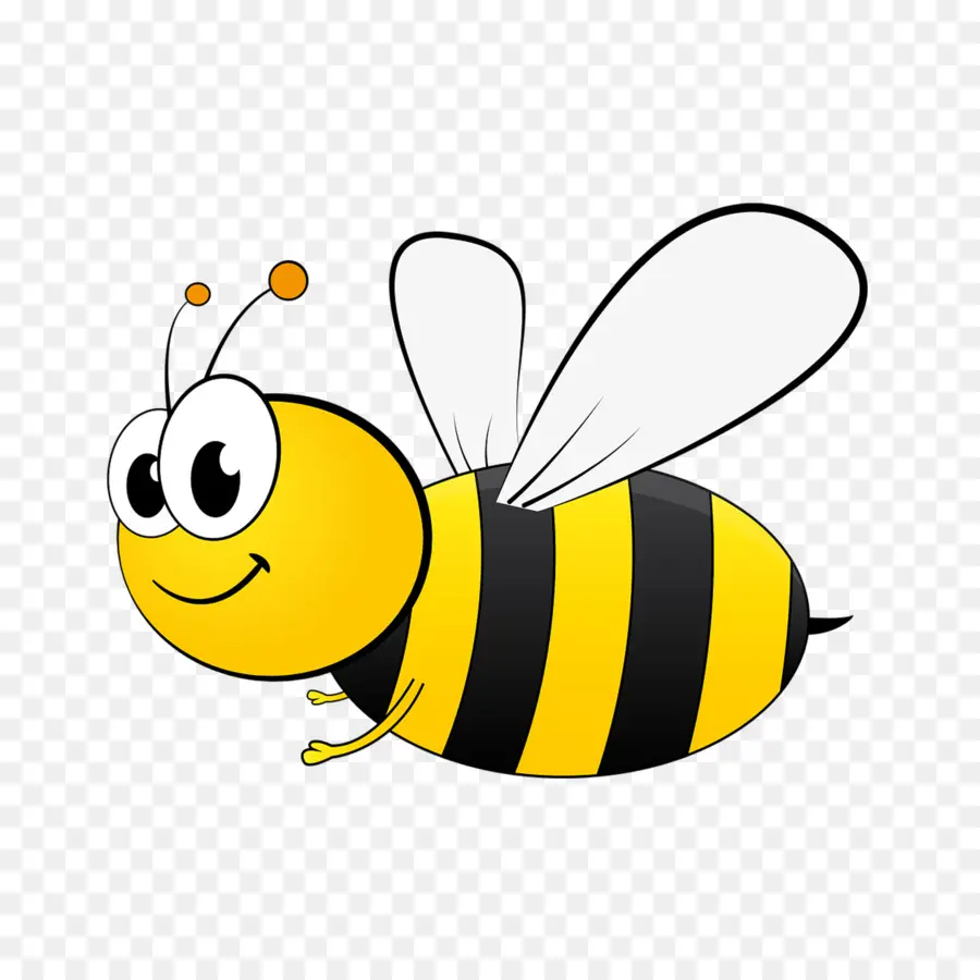 Пчелка，мед пчелы PNG