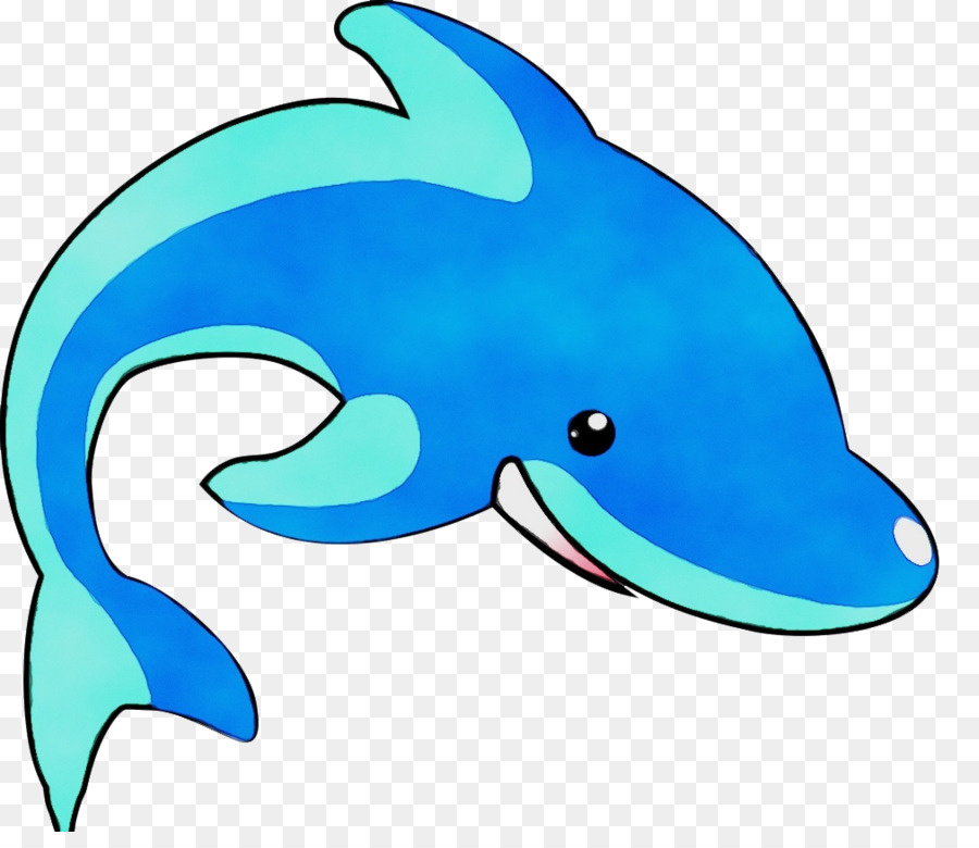 Bottlenose Dolphin，синий PNG