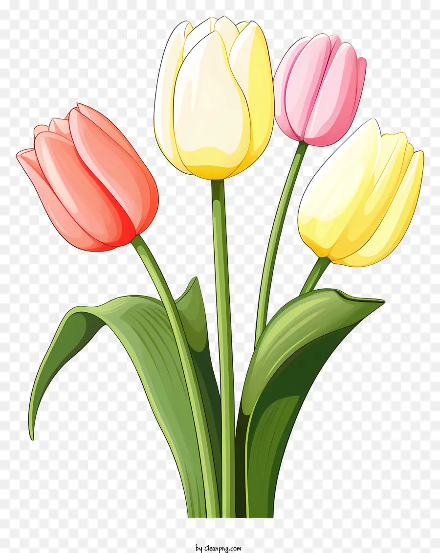 Colorful Tulips，тюльпаны в вазе PNG