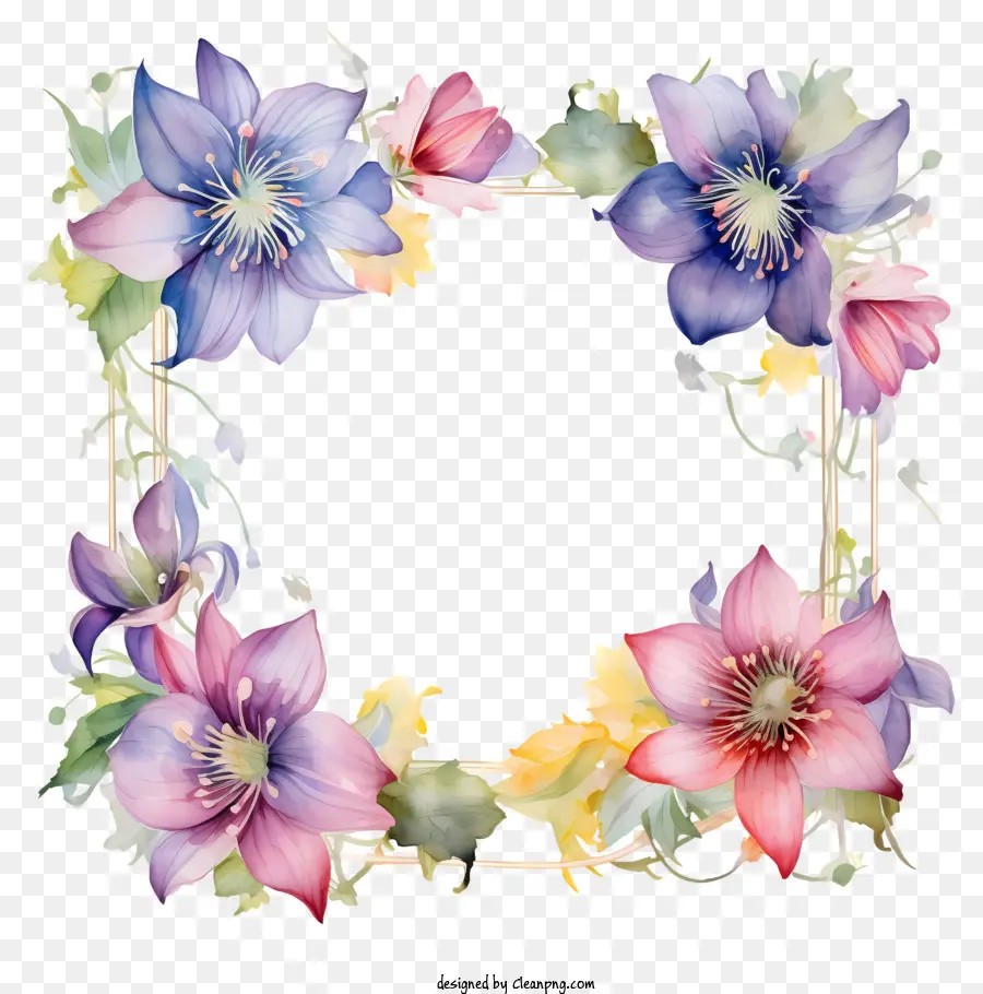 Watercolor Flowers，цветочные кадр PNG