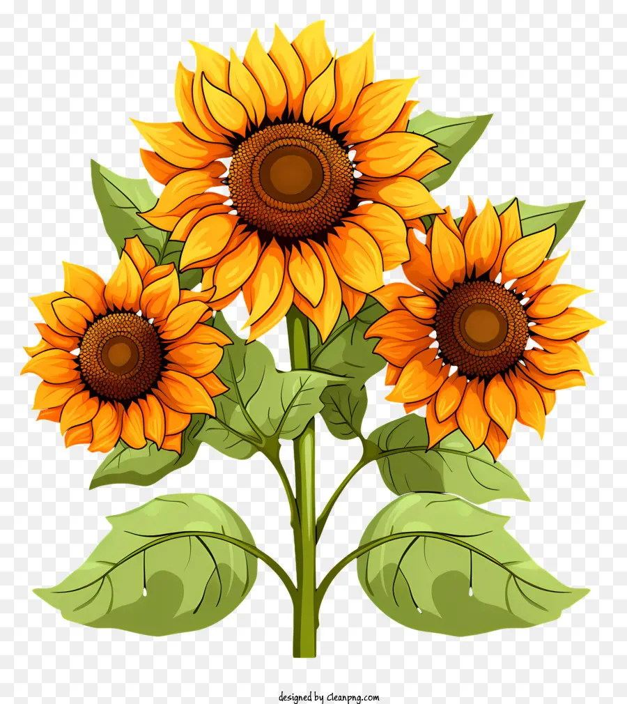 Sulf Style Sunflower，Мультипликационные подсолнухи PNG