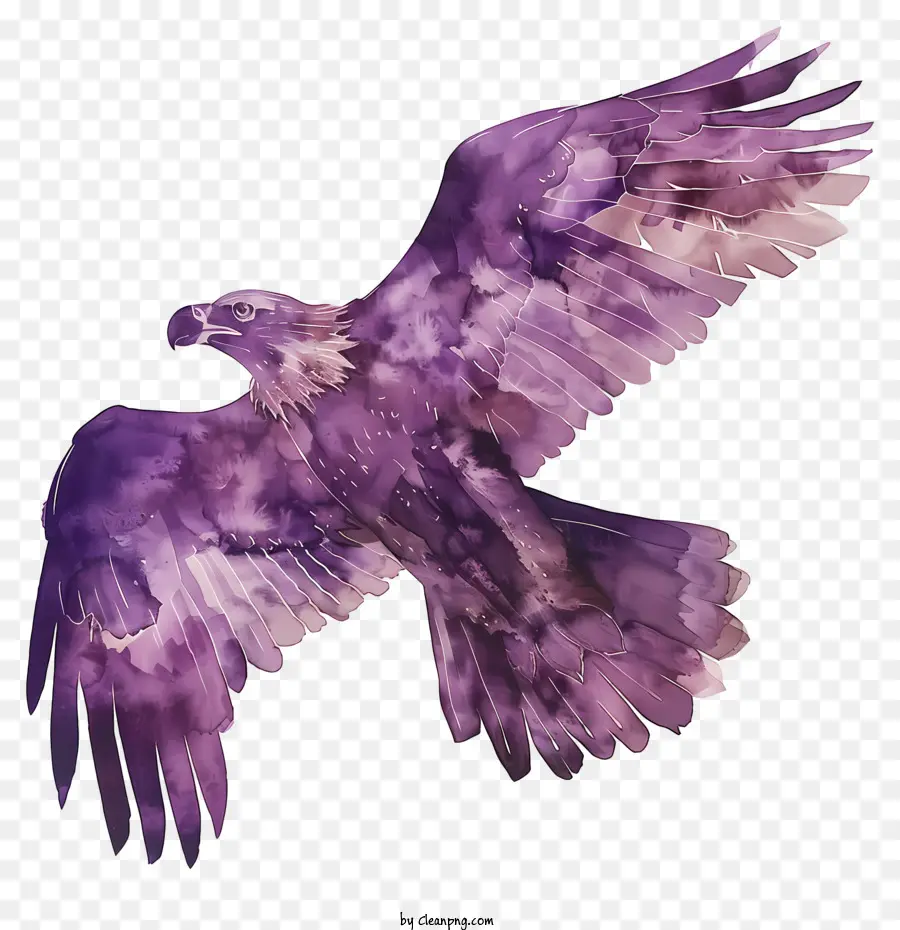 акварельный орел，фиолетовый птица PNG