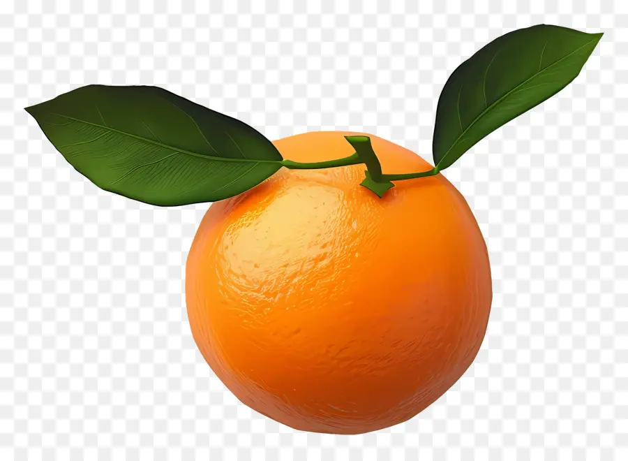 Мандариновый，оранжевый плод PNG
