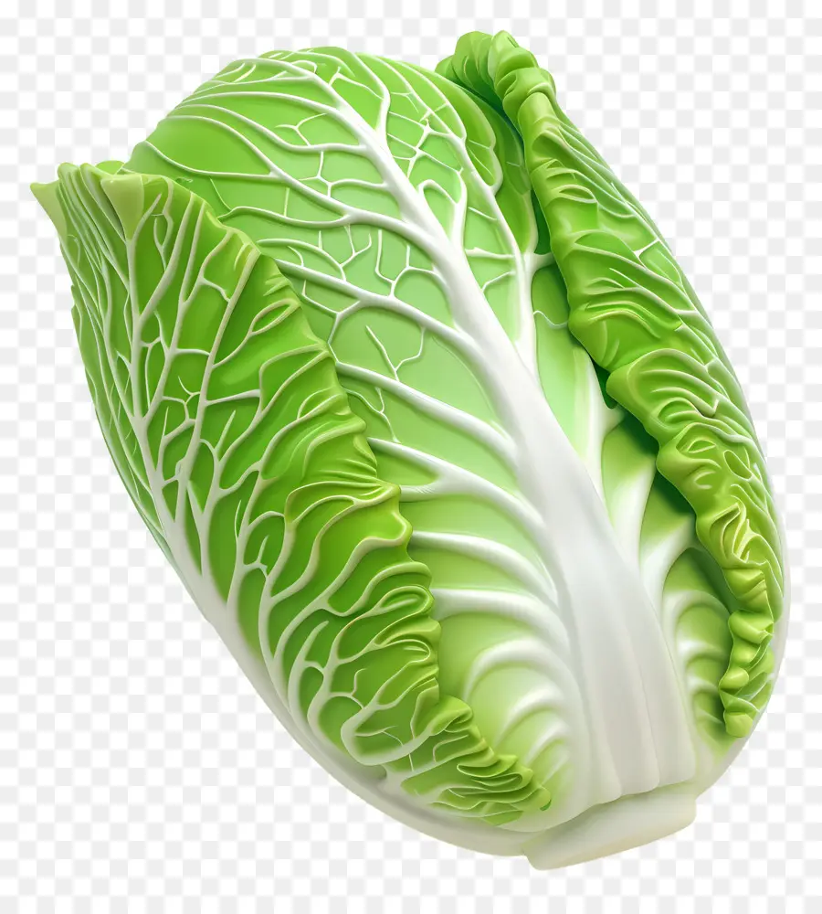 Китайская капуста，Lettuce PNG