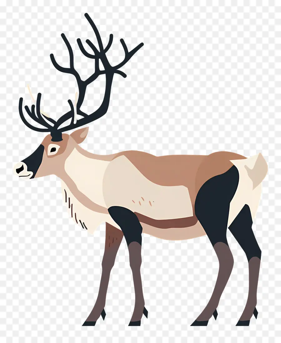 Reindeer，мультфильм оленей PNG