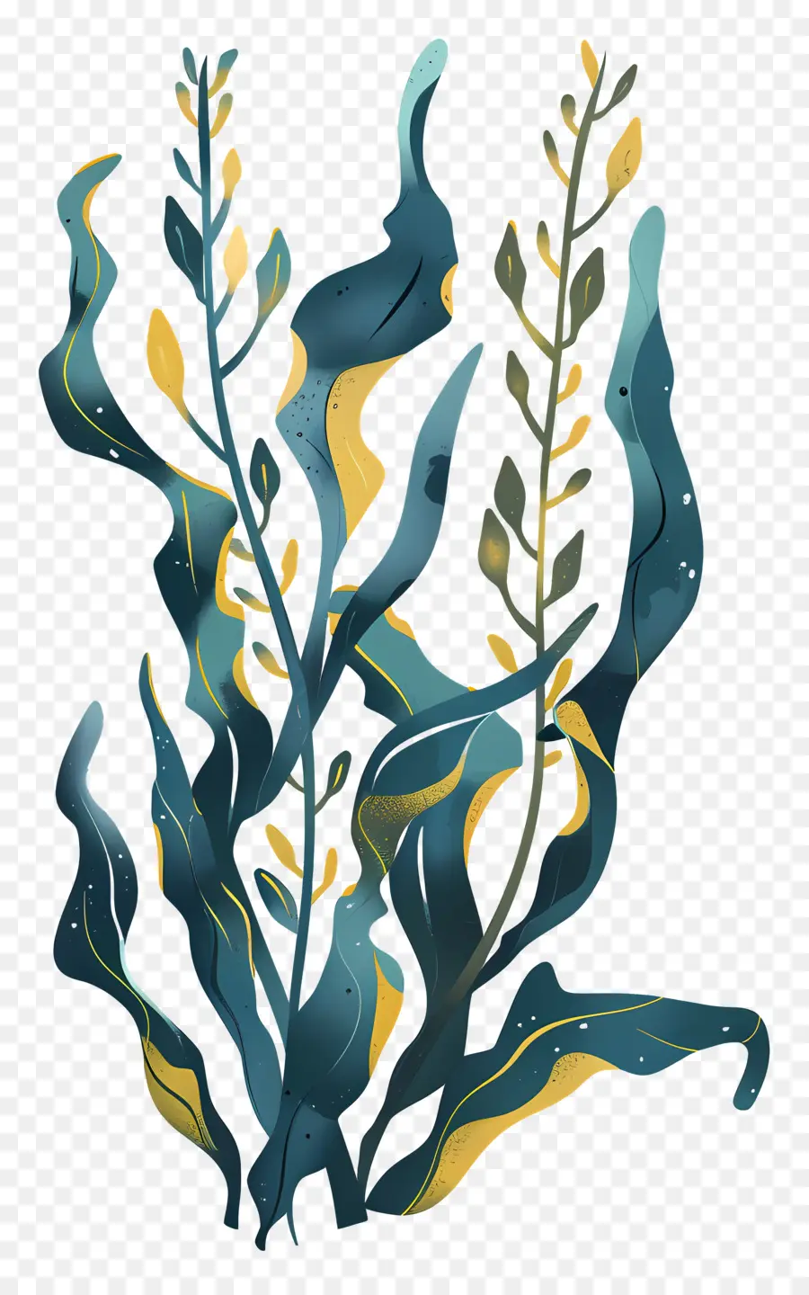 Ламинария，Seaweed PNG