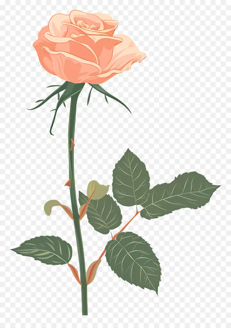 розовый стебель，Pink Rose PNG