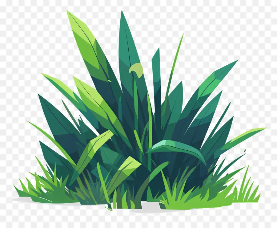 травяная пятно，зеленое поле PNG