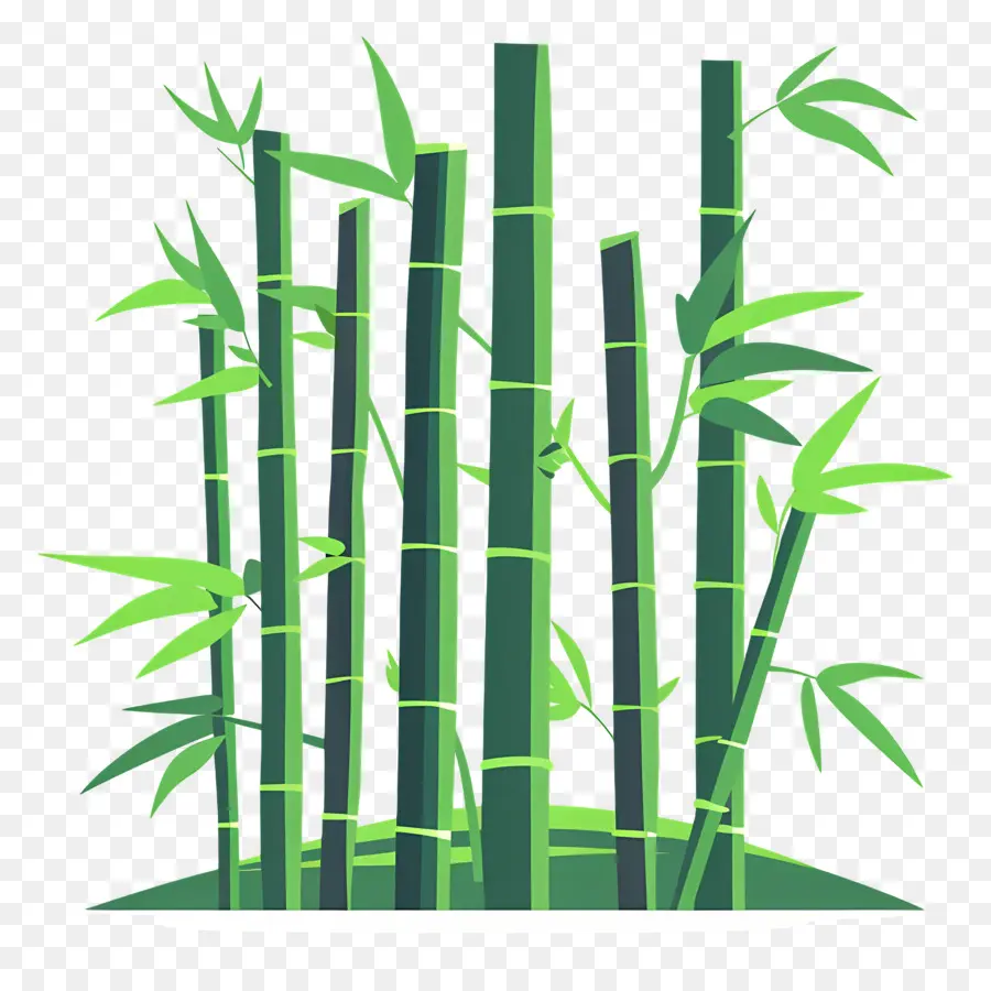 Bamboo Forest，зеленый бамбук PNG