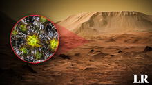 La planta del desierto que podría volver fértil la superficie de Marte, según científicos