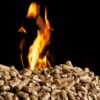 Wood pellets for biomass energy. Image courtesy of Dogwood Alliance.