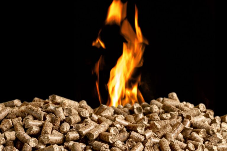 Wood pellets for biomass energy. Image courtesy of Dogwood Alliance.