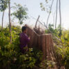 Chun Seiha demonstrates the forest loss across Chi Ouk Boeung Prey, where almost all the large, valuable trees have been logged by Santana Agro. Image by Gerald Flynn / Mongabay.