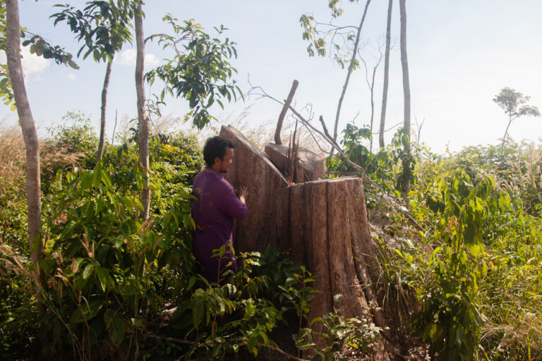 Chun Seiha demonstrates the forest loss across Chi Ouk Boeung Prey, where almost all the large, valuable trees have been logged by Santana Agro. Image by Gerald Flynn / Mongabay.