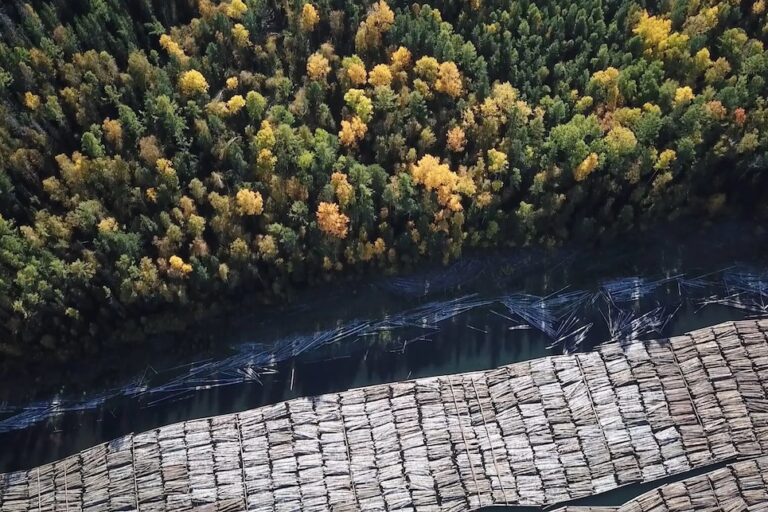 Russia's vast boreal forest is owned by the state and extensively logged. Image courtesy of Earthsight.